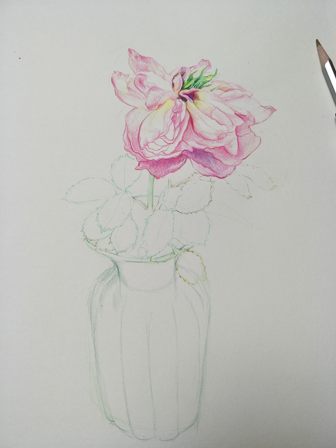 『虞花』（图ZMTM5MDkxOTg0） - 绘画 - 站酷设计师麻雀仙子原创素材 - 站酷ZCOOL