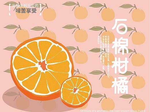 版式、包装设计