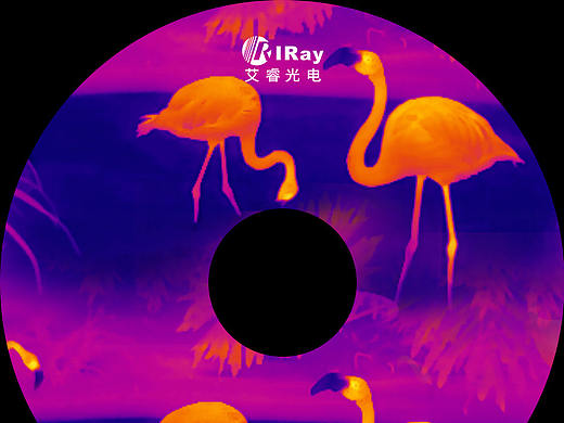 CD设计（个人主页-ZMzY3Njk1MTY=） - 宣传物料 - 站酷设计师龙魁儿原创素材 - 站酷ZCOOL