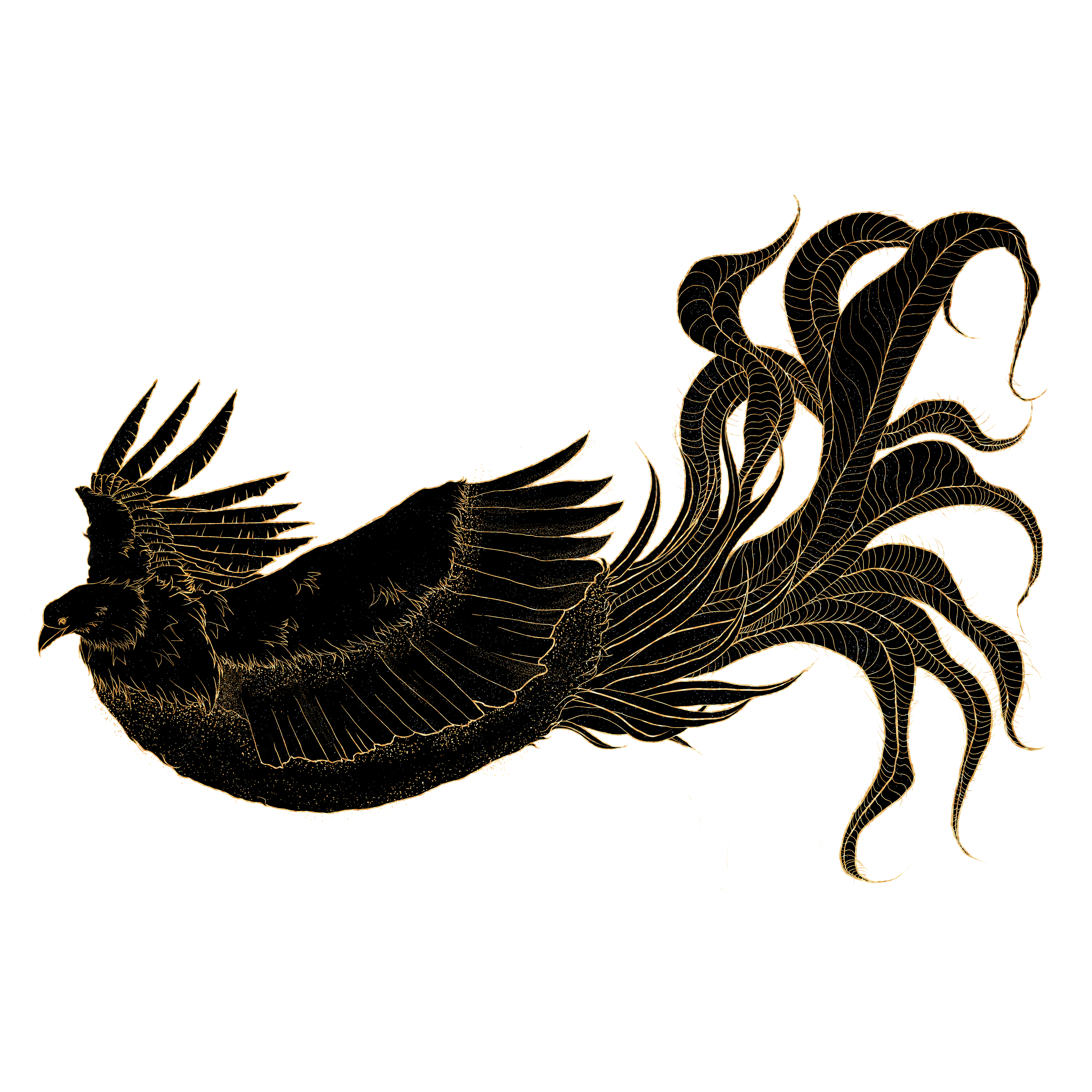 2020青春答卷#鲲鹏