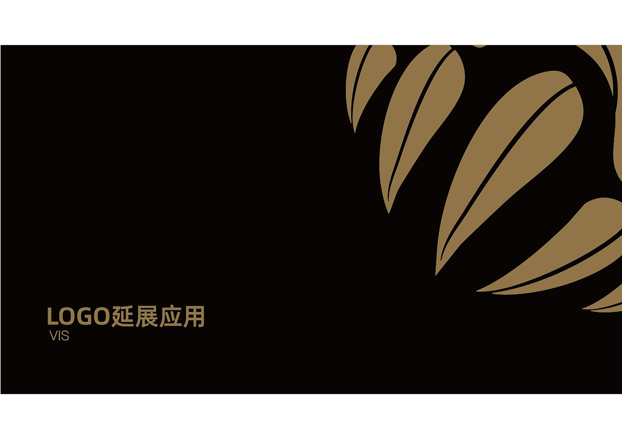 龙厨VI手册设计