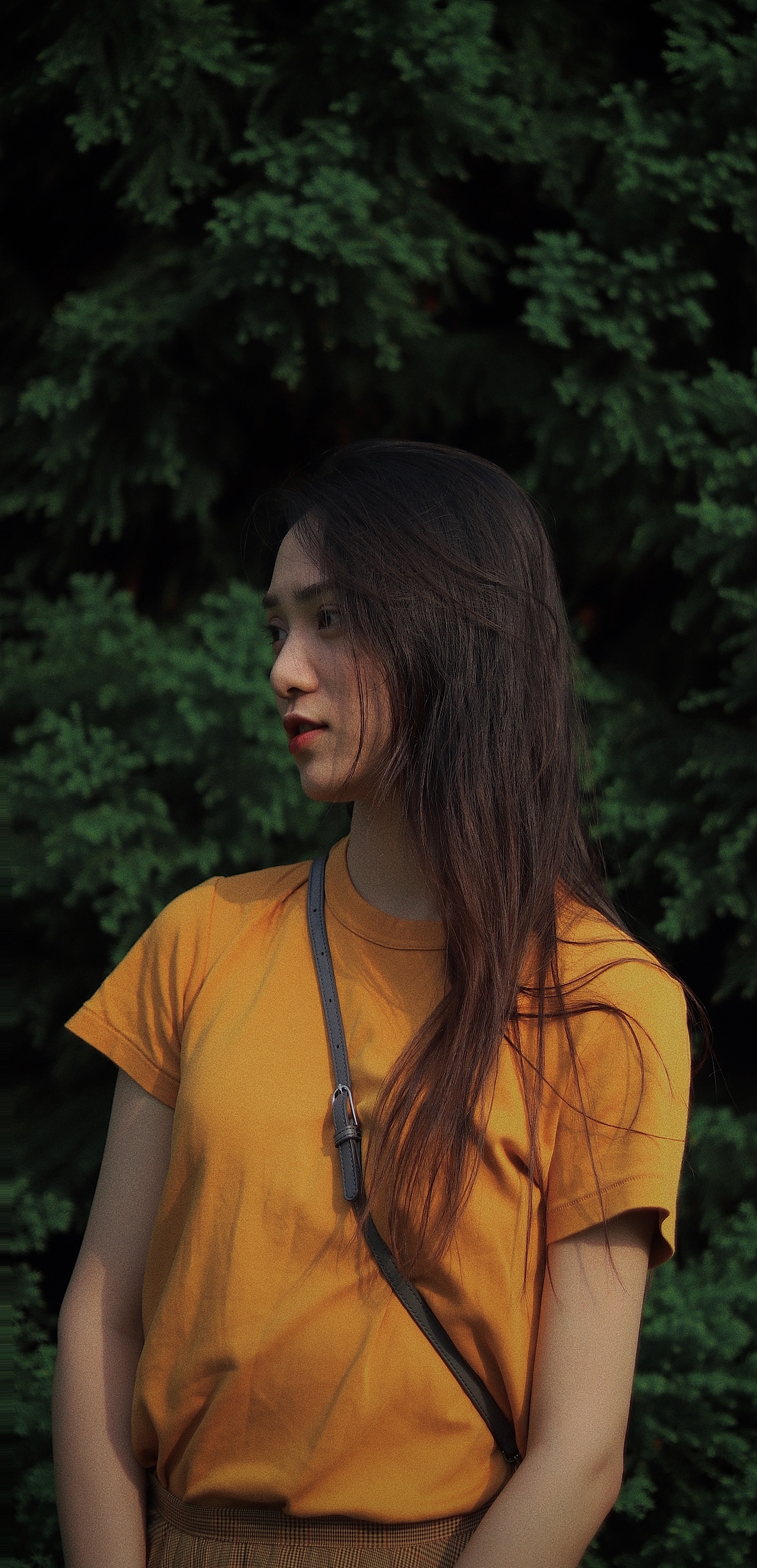 秋天也是绿色的