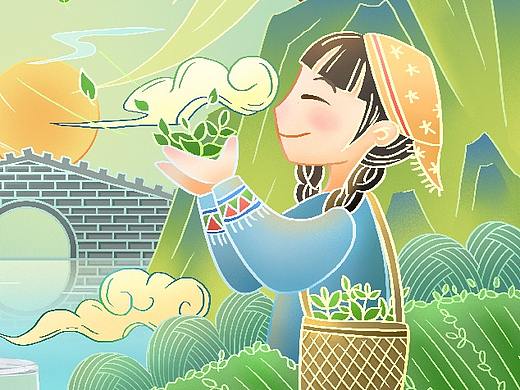 茶叶插画练习