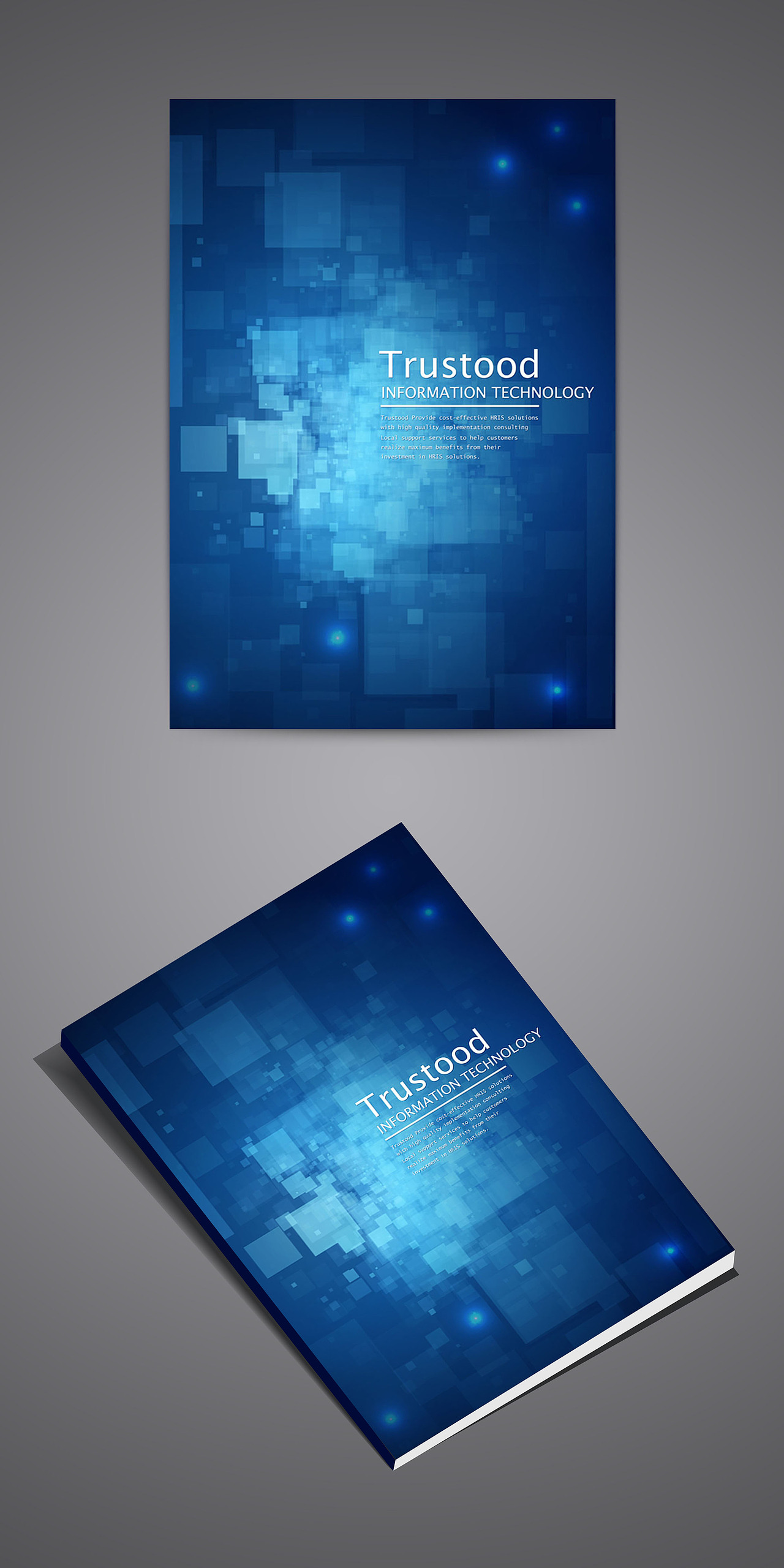 公司宣传册封面设计方案2