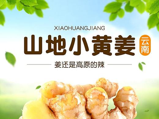 姜 小黄姜详情页（个人主页-ZMzE1OTA4OTI=） - 电商 - 站酷设计师芬达人原创素材 - 站酷ZCOOL