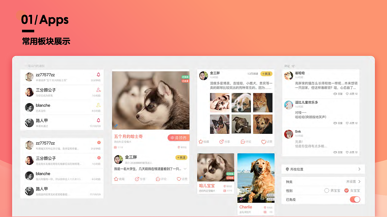 2017年个人作品集