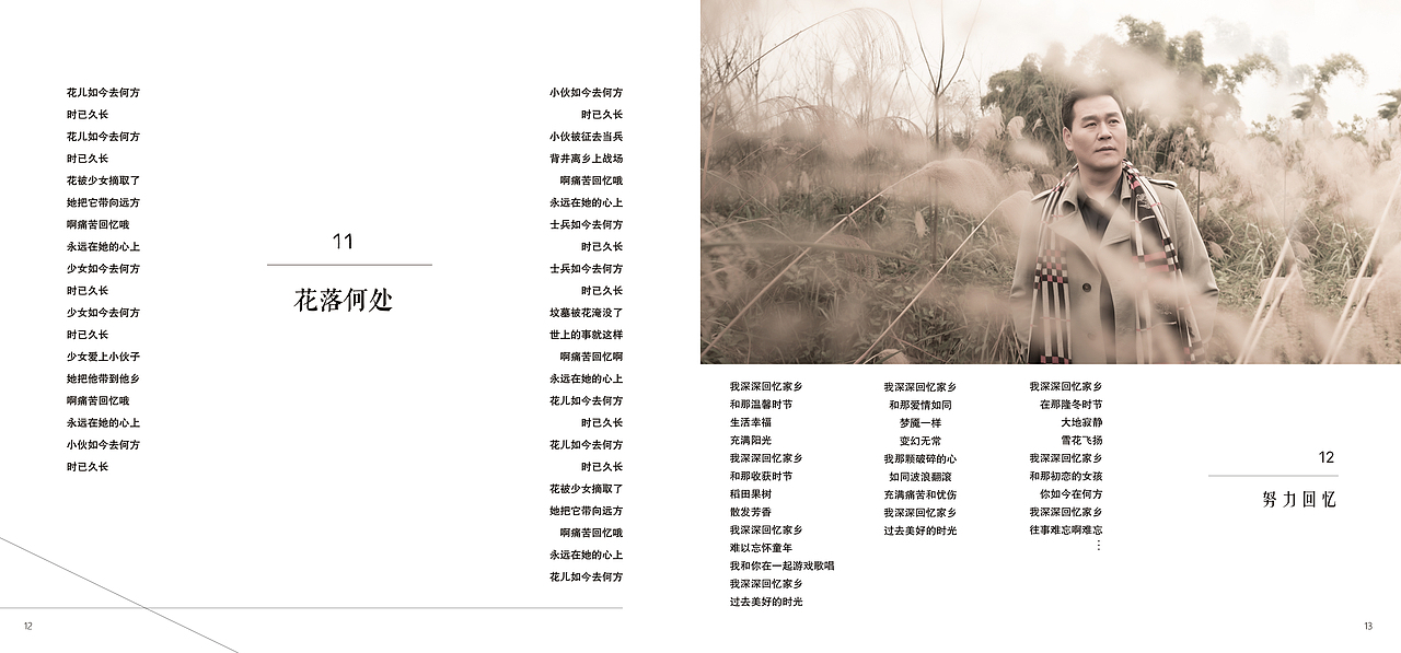 专辑（图ZMTQwNjkyMjcy） - 其他平面 - 站酷设计师仙人掌国王原创素材 - 站酷ZCOOL