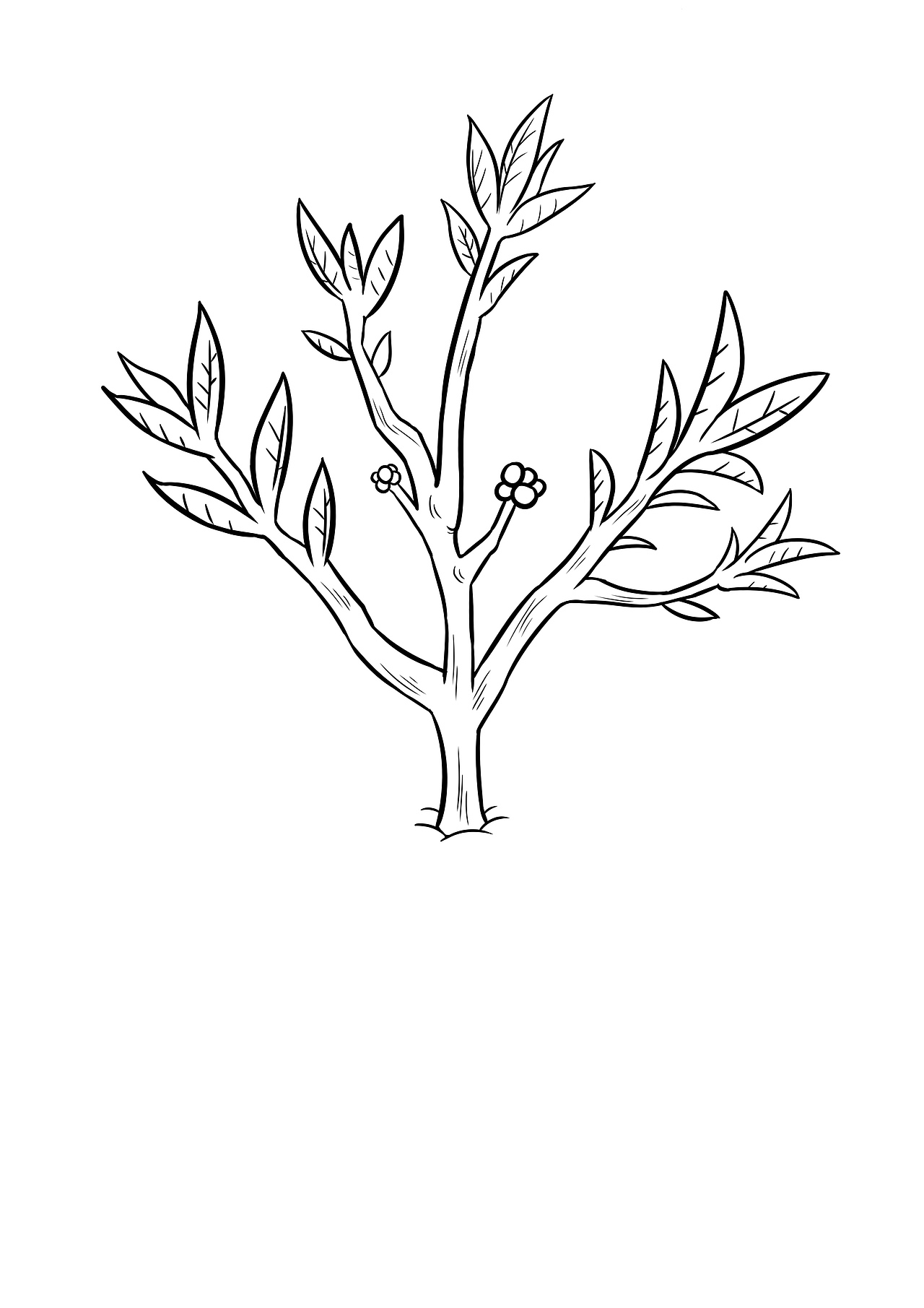 Q版动物、Q版植物（图ZMjExMzU3MDEy） - 儿童插画 - 站酷设计师想吃肉的阿由原创素材 - 站酷ZCOOL