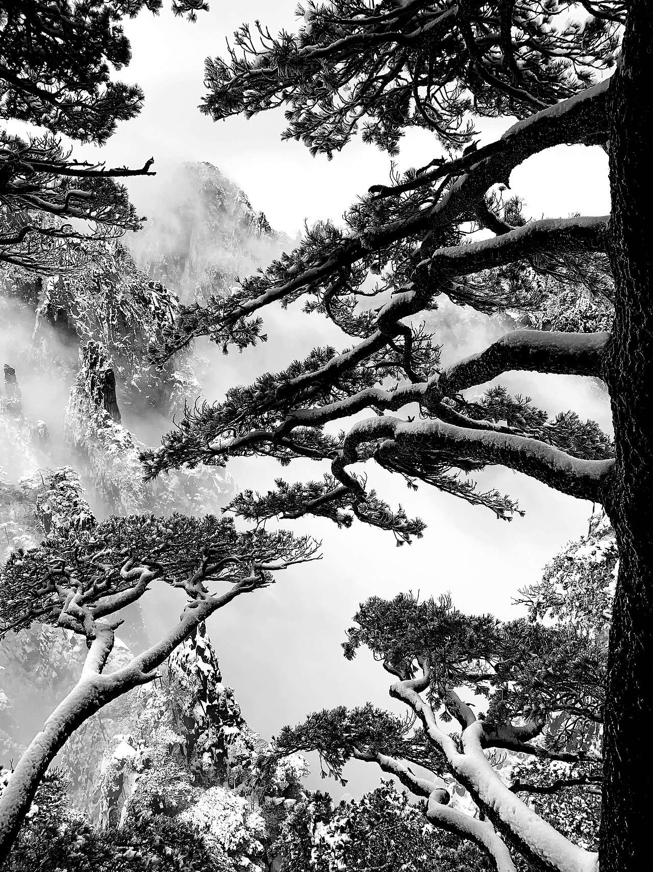 黄山-排云亭