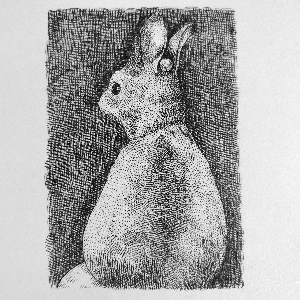 画着wanwan（图ZMzI0NDc3MzE2） - 儿童插画 - 站酷设计师Z877171550原创素材 - 站酷ZCOOL