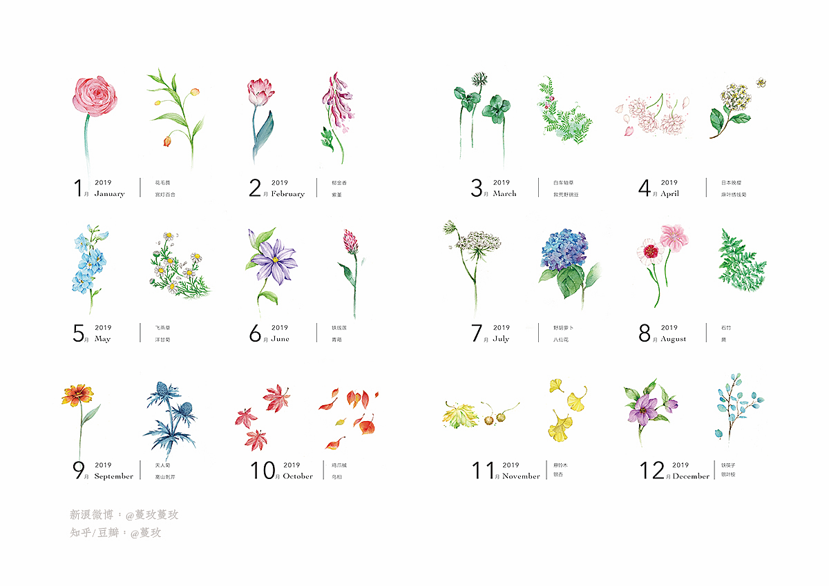 一起看花：2019植物手账（图ZMTM4Mjk0NDYw） - 商业插画 - 站酷设计师蔓玫原创素材 - 站酷ZCOOL