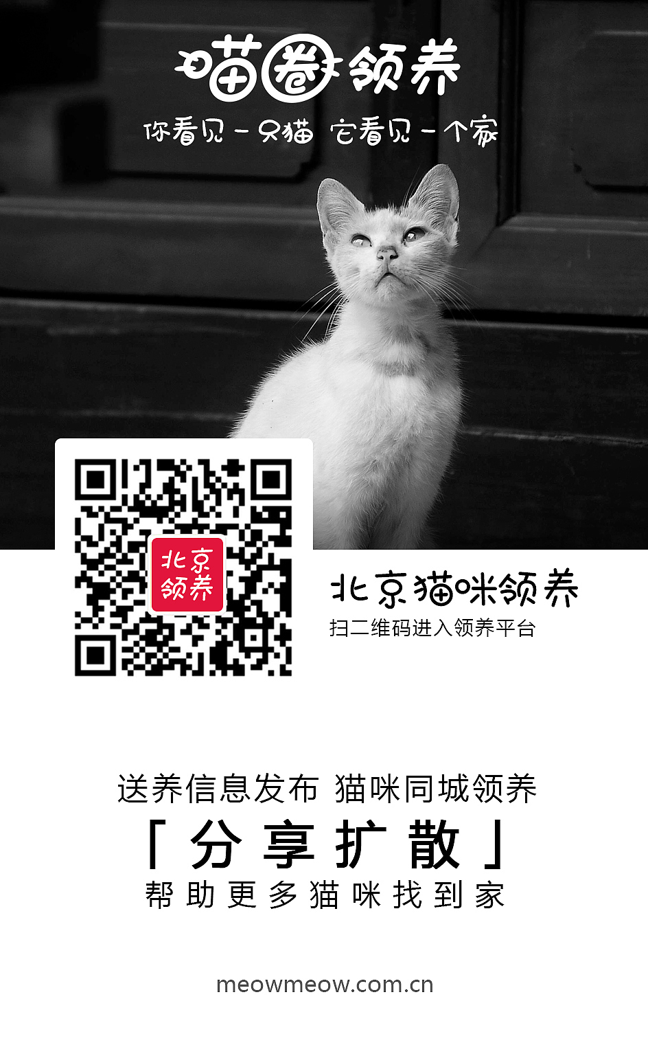 喵圈领养-各城市领养小组上线海报（图ZMTQxNDMzMDE2） - 海报 - 站酷设计师带风007原创素材 - 站酷ZCOOL