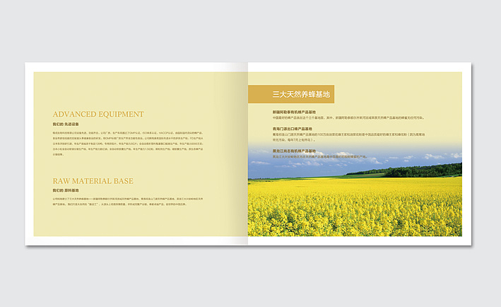 蜂典蜂蜜-画册设计