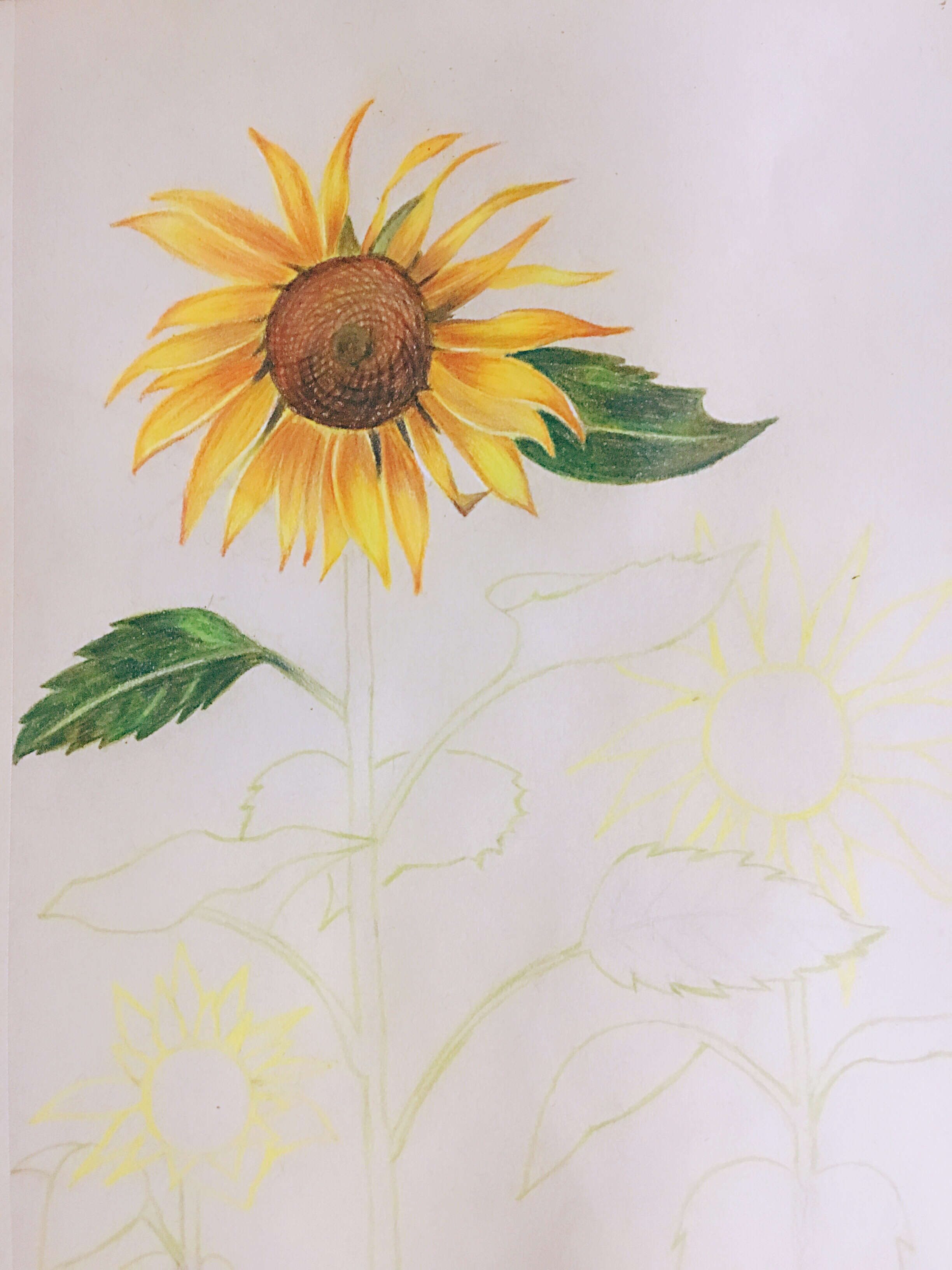 【水彩】向日葵:sunflower:|纯艺术|绘画|若汐绘 - 原创作品 - 站酷 (ZCOOL)