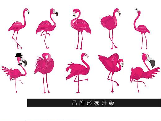 插画-火烈鸟-十二生肖-十二种花茶