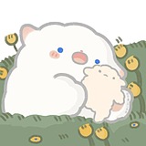 zhang1c的头像