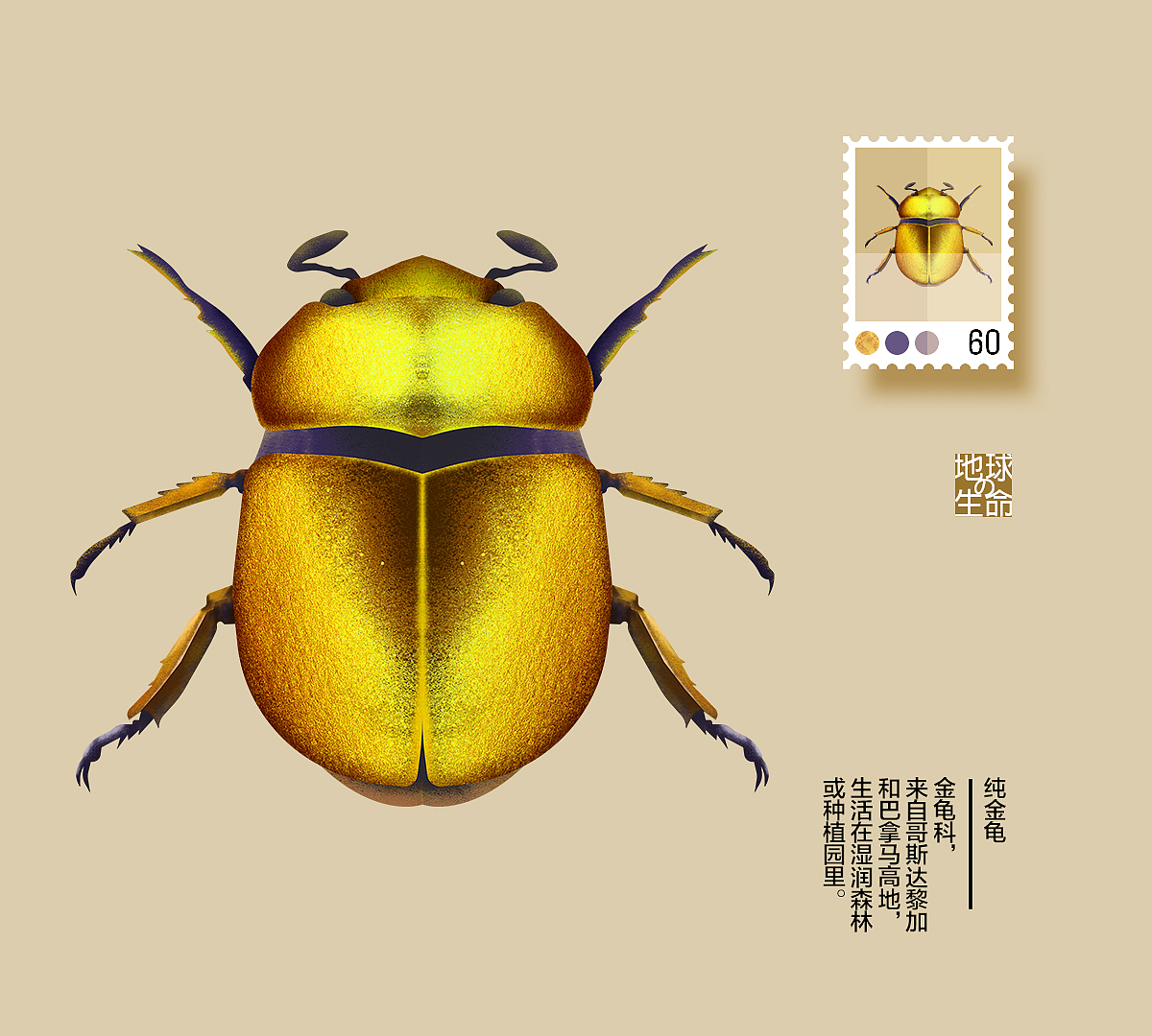 地球の生命 昆虫篇 #01（图ZMjExNzQyMTk2） - 创作习作 - 站酷设计师脉搏原创素材 - 站酷ZCOOL
