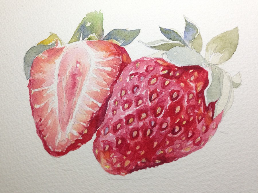 水彩插画全日课堂示范——草莓