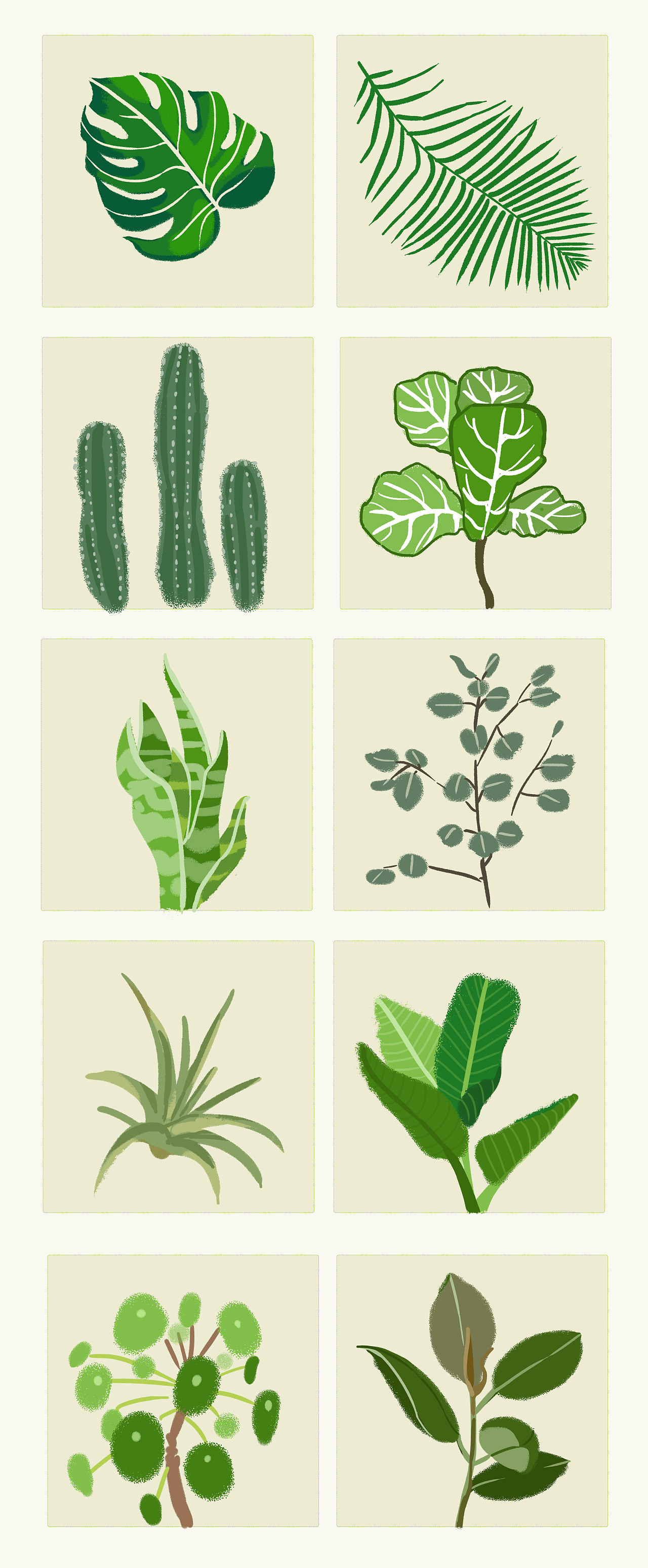 ins绿色植物龟背竹量天尺散尾葵橡皮树