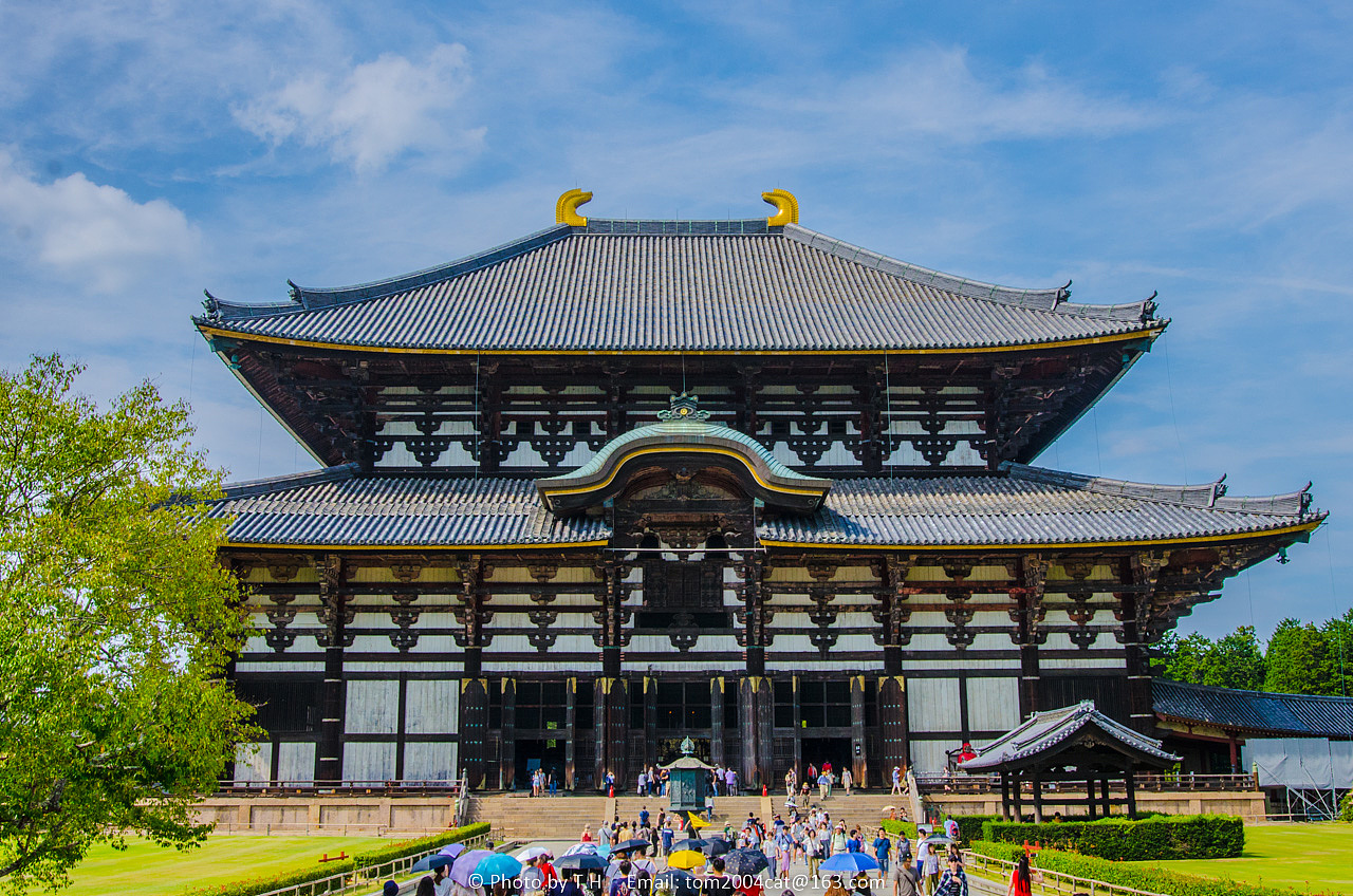 奈良公园春日大社