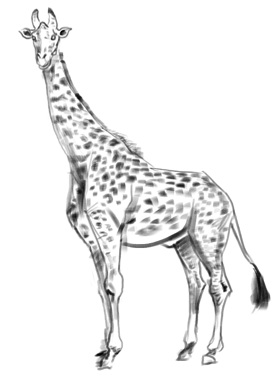 地铁上练习（动物篇）（图ZMTQ4MTk0NzQ0） - 创作习作 - 站酷设计师S肚子爱画画D原创素材 - 站酷ZCOOL