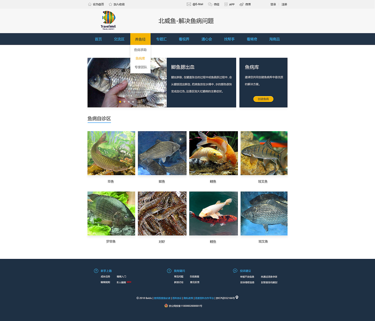 网页鱼病（图ZMTUwNDE0MjE2） - 门户网站 - 站酷设计师西月城原创素材 - 站酷ZCOOL