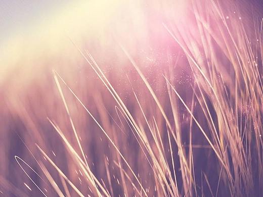 模拟（个人主页-ZNDk2NTE2ODg=） - 海报 - 站酷设计师一只设计鼠原创素材 - 站酷ZCOOL