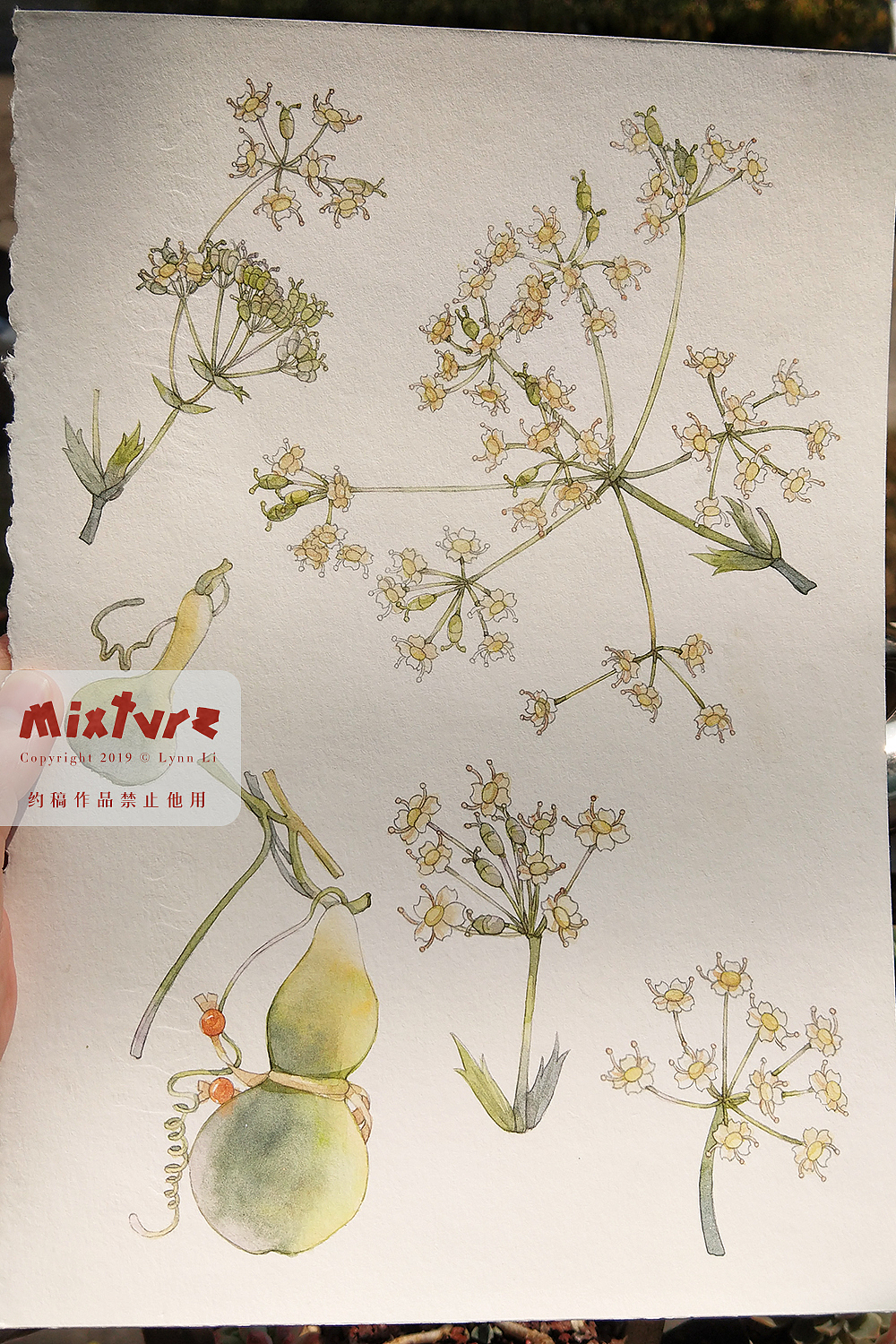 剑三药用花草&中药材炮制工具（图ZMTUyMDkxMzQ4） - 商业插画 - 站酷设计师青霄不予原创素材 - 站酷ZCOOL