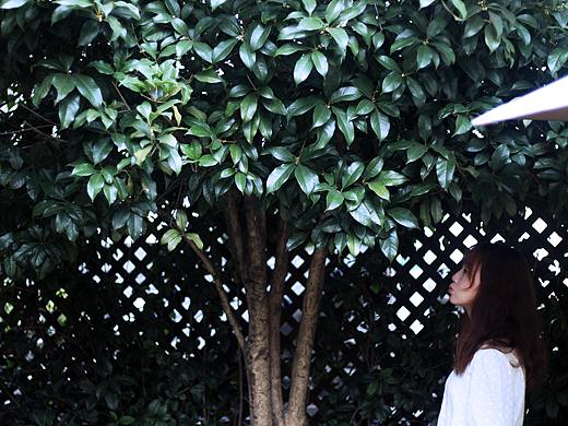 少女（个人主页-ZNTAzMzcxNzI=） - 人像摄影 - 站酷设计师桃白白baitao原创素材 - 站酷ZCOOL