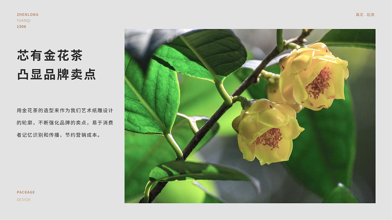 【品牌全案】起源光电礼盒（图ZMjg1MDE1Njk2） - 包装 - 站酷设计师研原视觉设计原创素材 - 站酷ZCOOL
