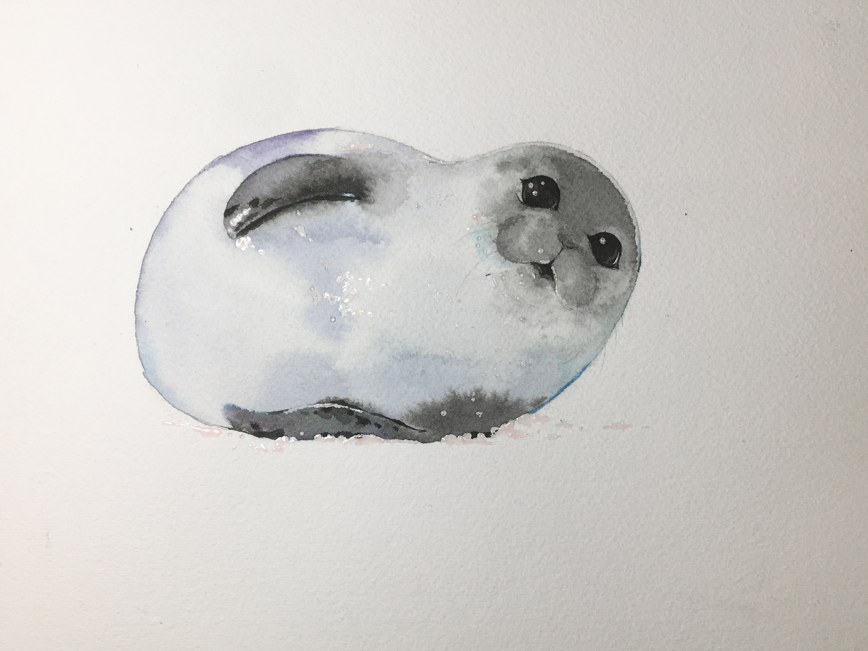 可爱的小海豹-详细步骤