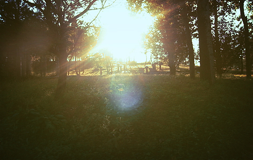 日光行（图ZMTc5MzI5Mg==） - 人文/纪实摄影 - 站酷设计师pinkmana原创素材 - 站酷ZCOOL