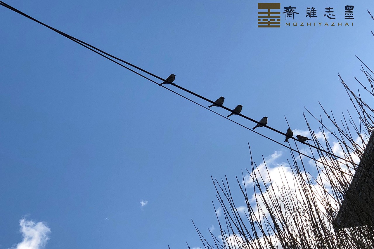 自然造物 吾栖之态