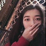 机智鬼的头像