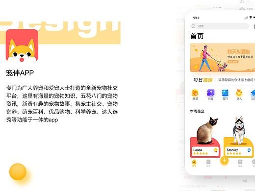  宠伴 萌宠app
