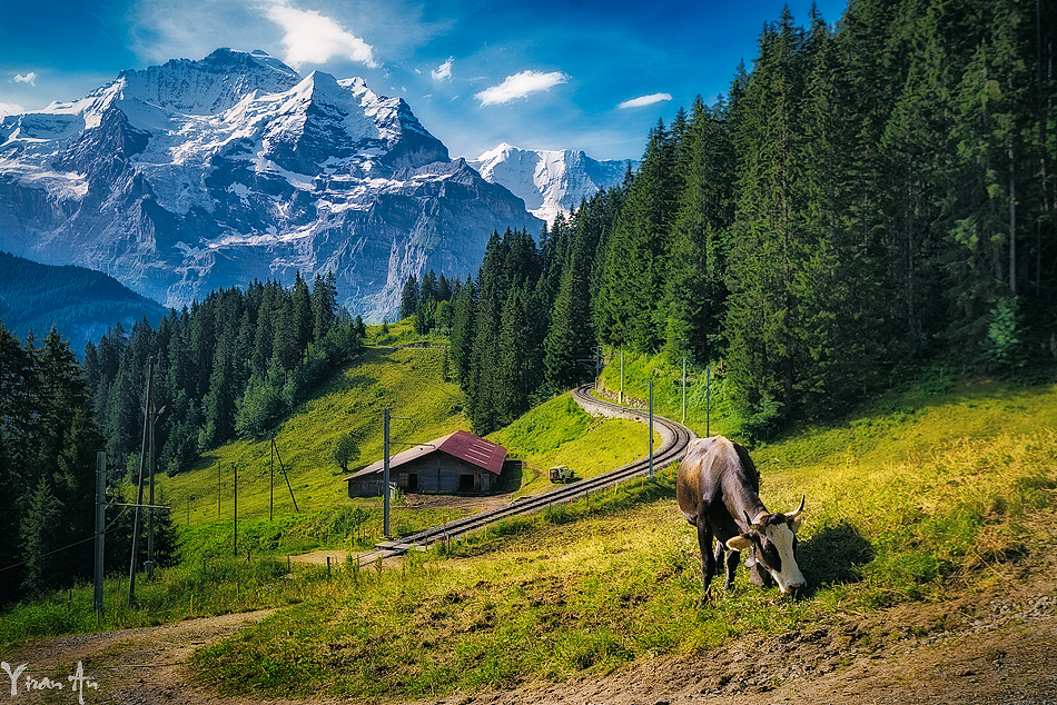 夏之瑞士#出发的勇气2014#（图ZMTkyOTEzNDg=） - 风光摄影 - 站酷设计师安一然Roger原创素材 - 站酷ZCOOL