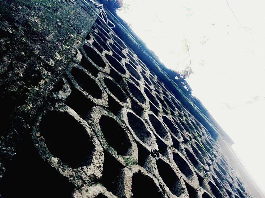 那一年，我的校园，我们的月亮岛