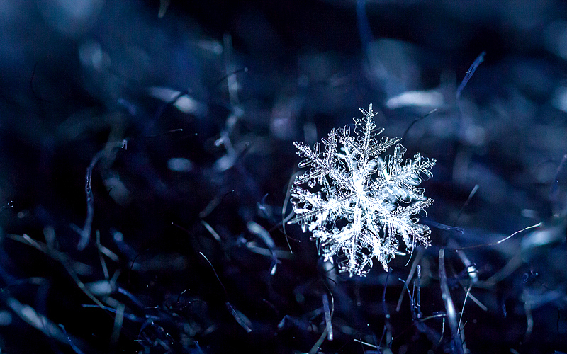 第十二届全国冬季运动会会徽设计