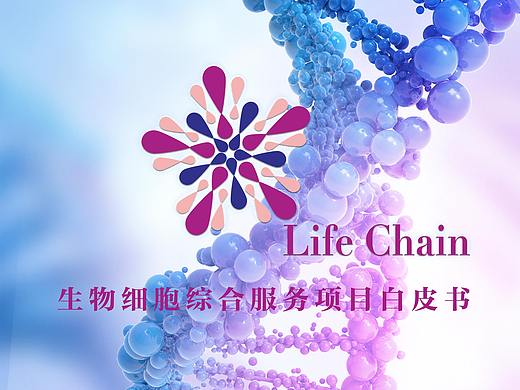 心海白皮书封面