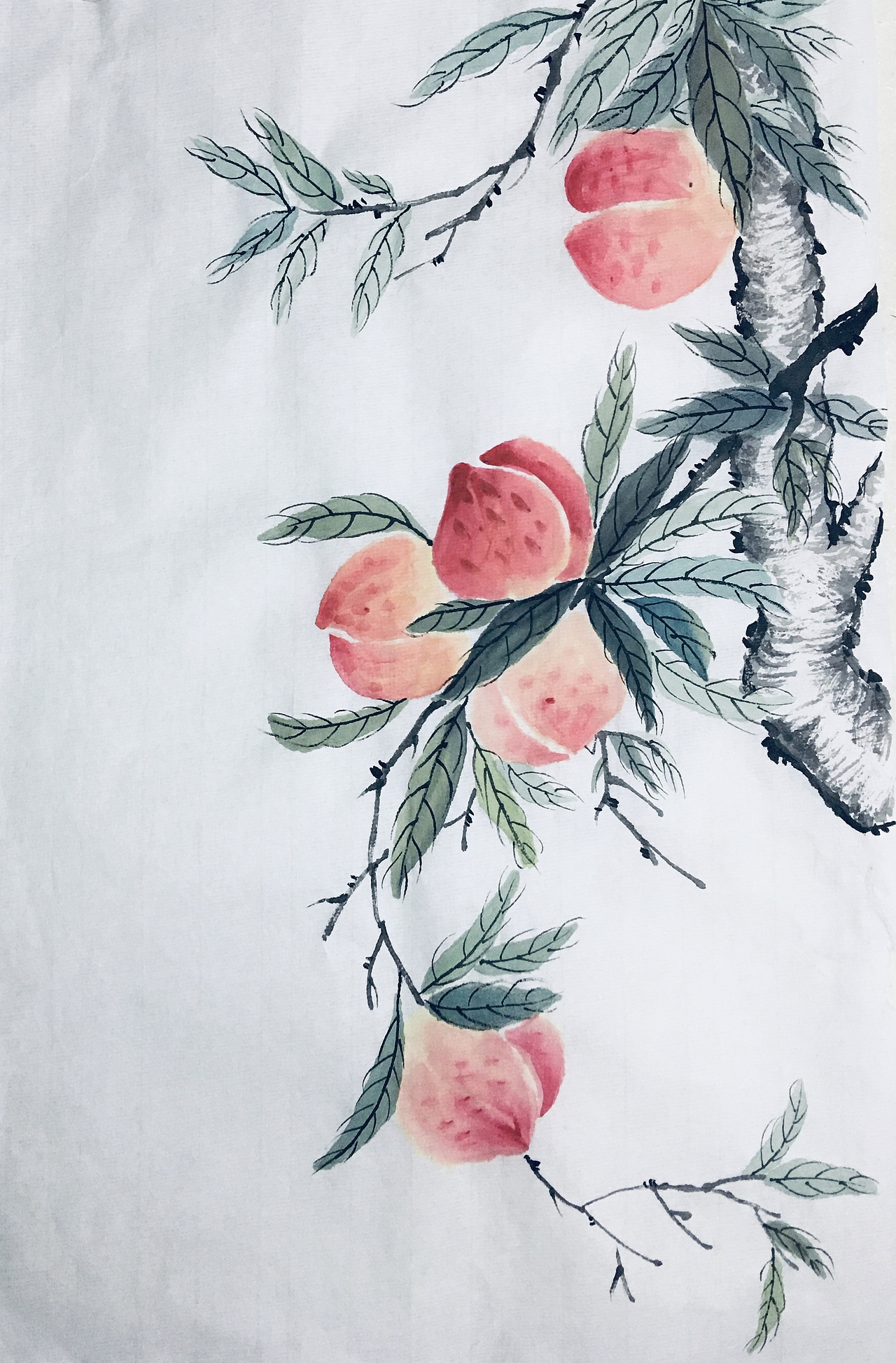 斗点爱好 - 国画 - 花鸟