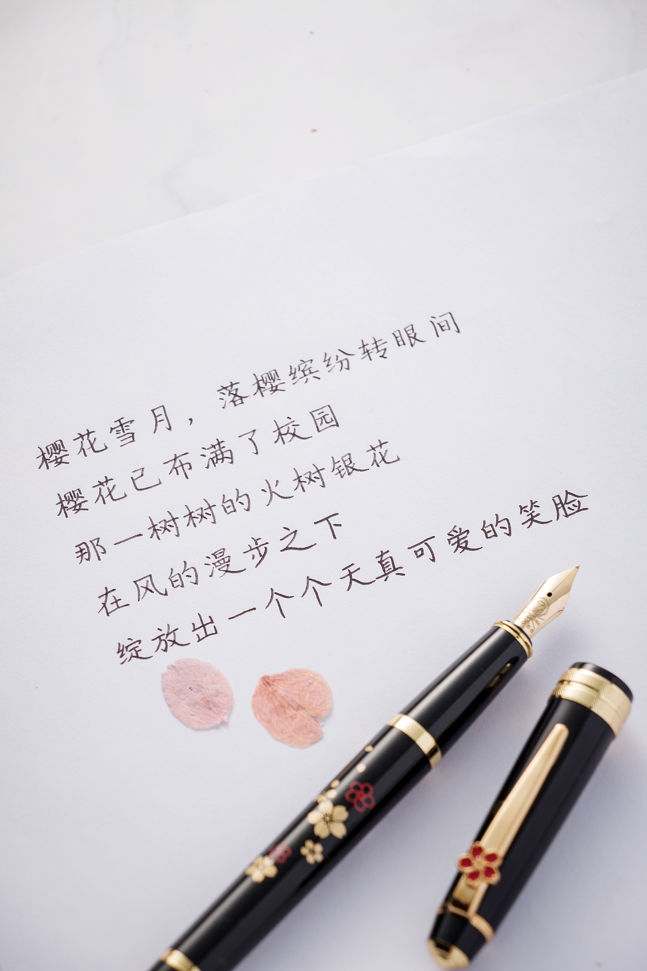 【文创】笔上生花,郁金香的优雅浪漫