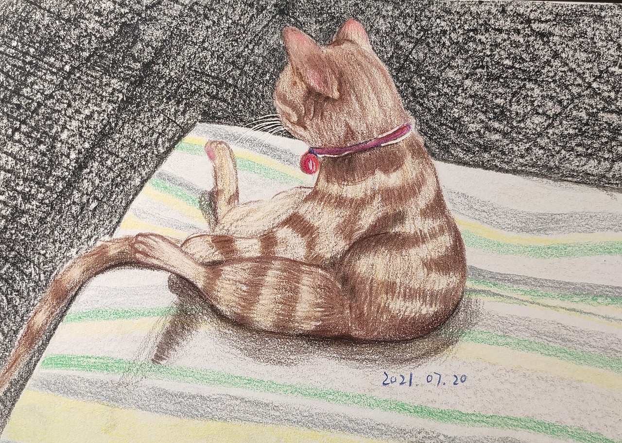 橘子是只貓之靜坐等撩（圖ZMjYzNjQzNDQ4） - 創(chuàng)作習(xí)作 - 站酷設(shè)計師橘阿三原創(chuàng)素材 - 站酷ZCOOL