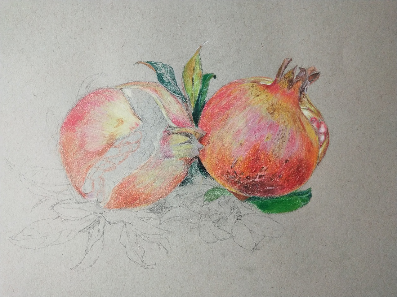 我家石榴乐开花