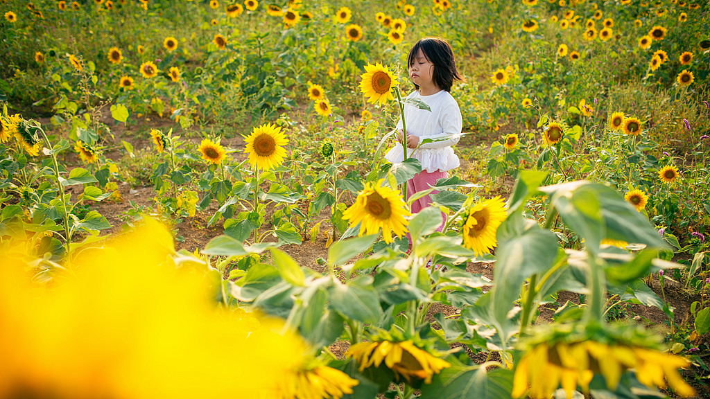 儿童摄影秋冬外景（沈阳）（图ZMTM1NjIyODY0） - 人像摄影 - 站酷设计师家麟的画原创素材 - 站酷ZCOOL