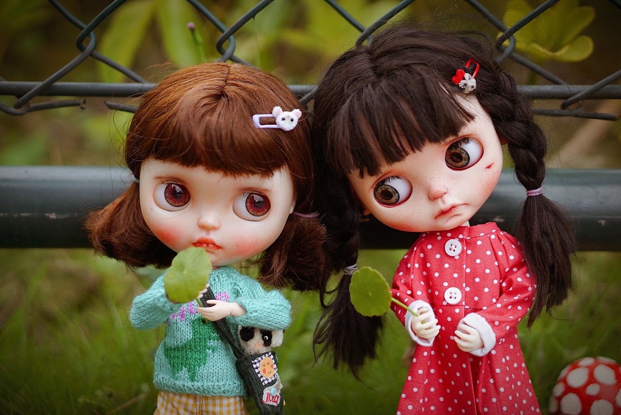 blythe娃媽日常-Lala&Bacca（图ZMTY2ODk4NDEy） - 产品摄影 - 站酷设计师Ssssssiro原创素材 - 站酷ZCOOL