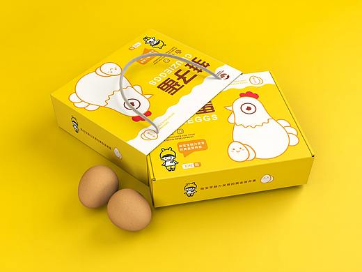 鸿鑫农业鸡蛋包装创意设计策划案