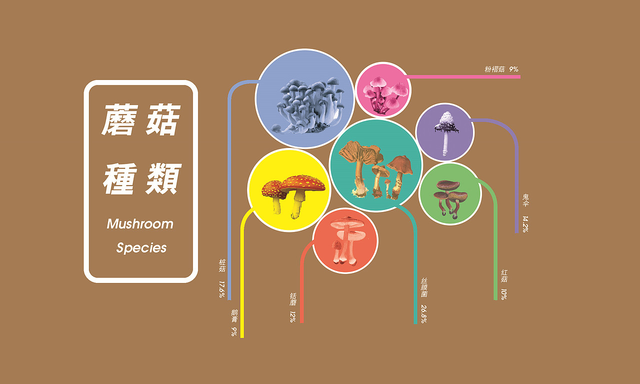 毒蘑菇研究（图ZNjE0NTcwNzI=） - 信息图表 - 站酷设计师秦寿羊原创素材 - 站酷ZCOOL