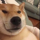 songjia佳佳佳佳的头像