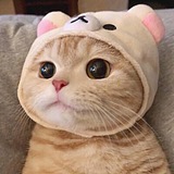 青木数字映画的头像