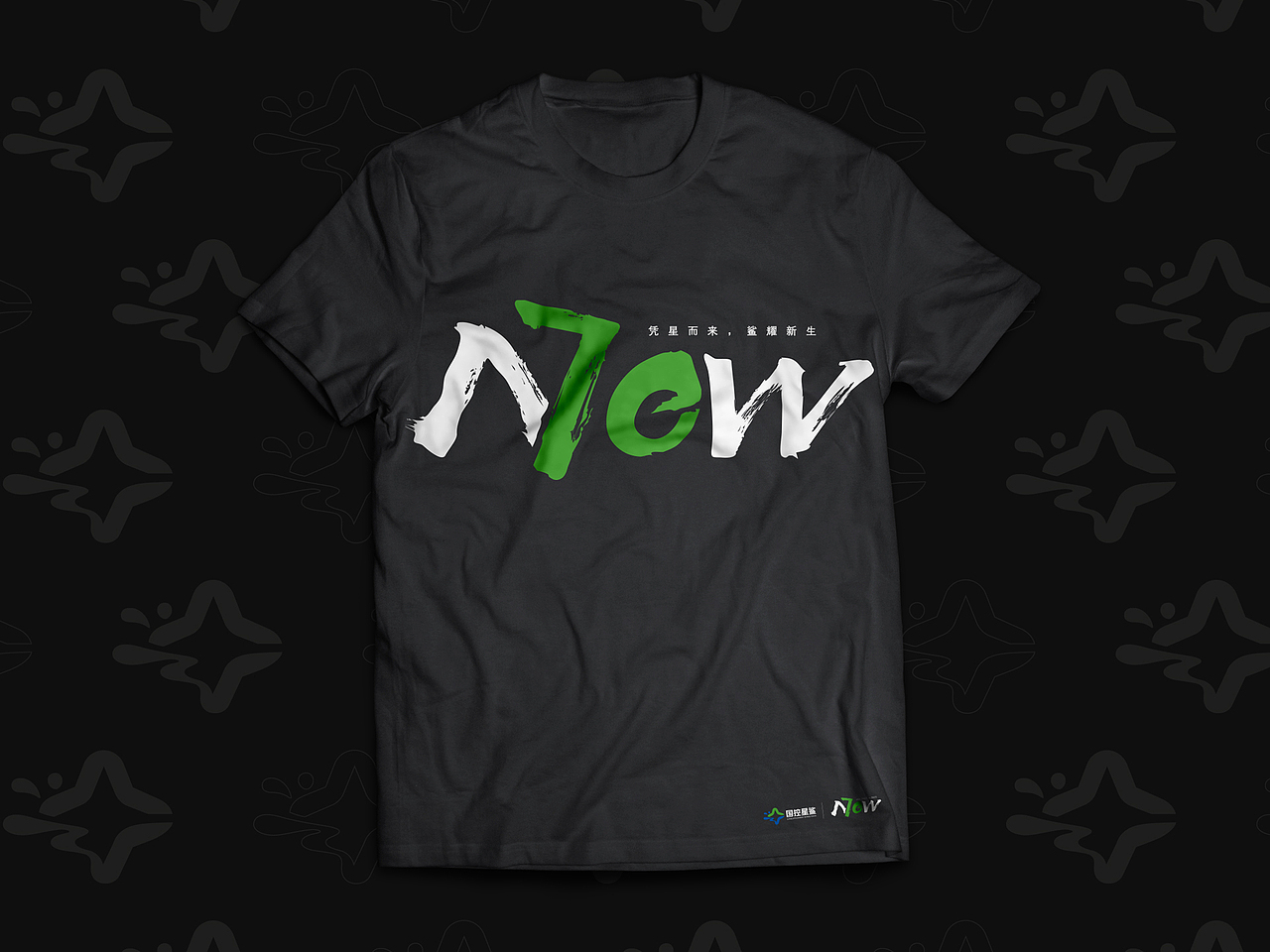 国控星鲨LOGO&70周年徽标设计